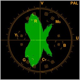 Vectorscope Broadcasting