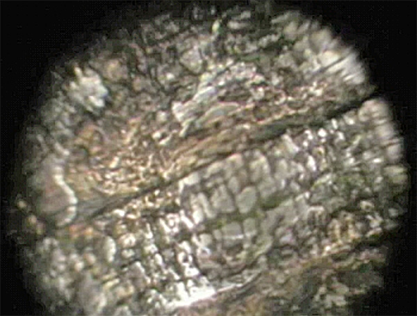 Erosione & Usura Boroscopio