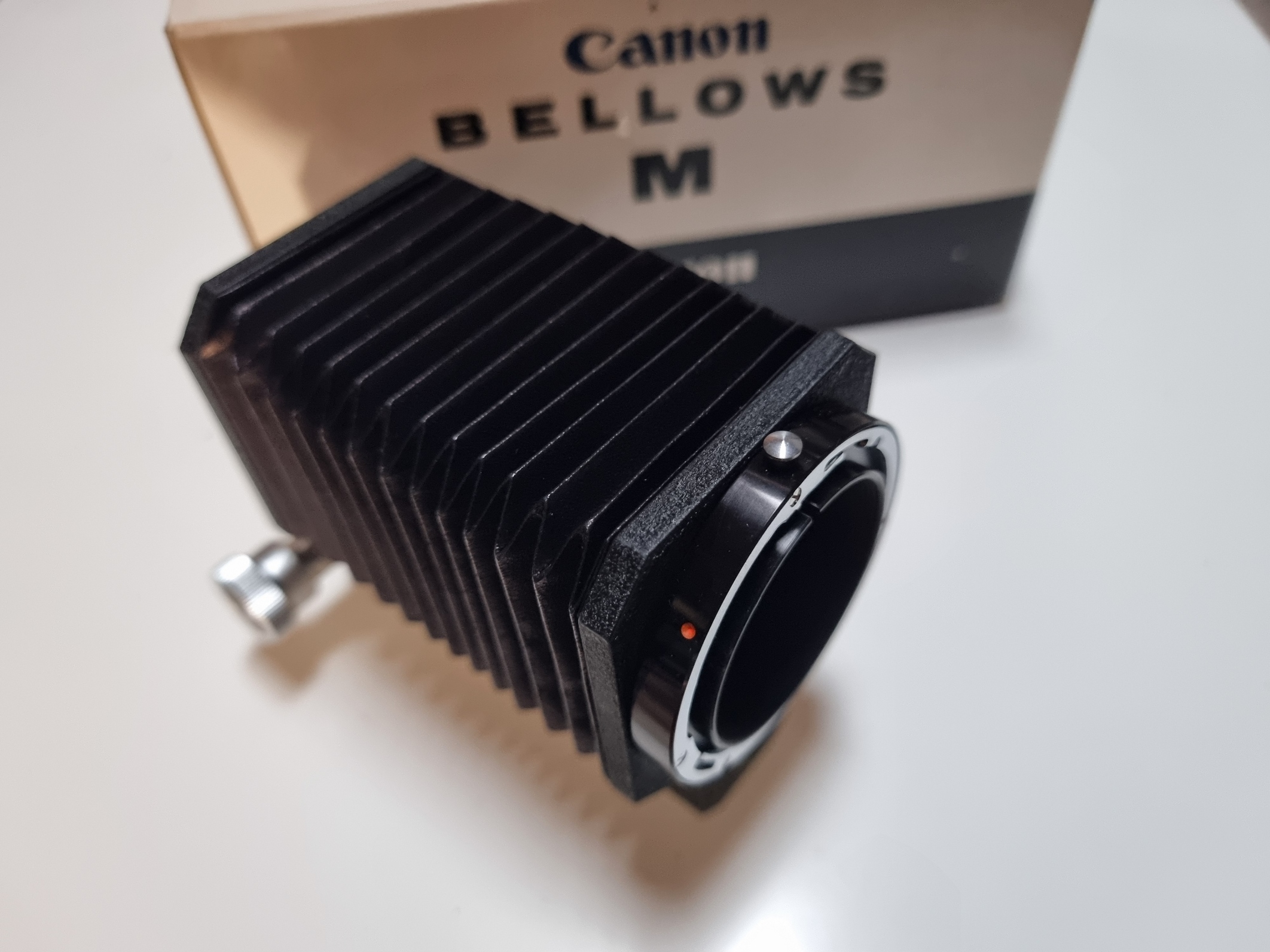 Canon Fotografia
