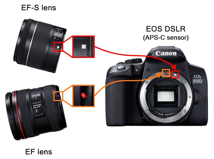 Canon Fotografia