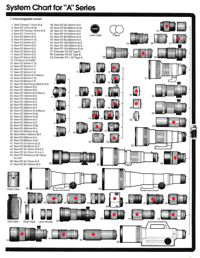 Canon Fotografia