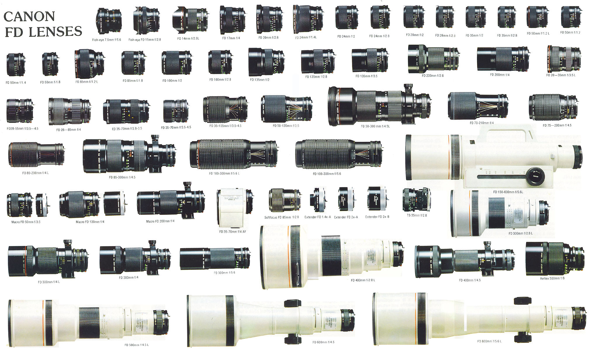 Canon Fotografia