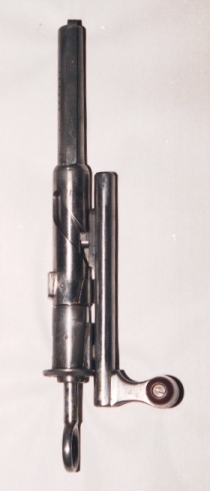 Schmidt Rubin K31 ExOrdinanza