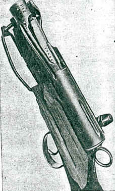 Schmidt Rubin K31 ExOrdinanza