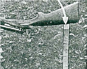 Schmidt Rubin K31 ExOrdinanza