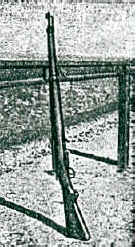 ExOrdinanza