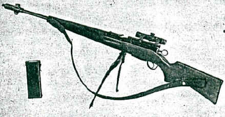 Schmidt Rubin K31 ExOrdinanza